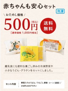 パルシステム