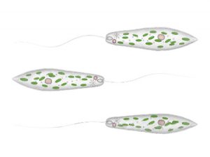 Fotolia_83403785_Subscription_Monthly_450