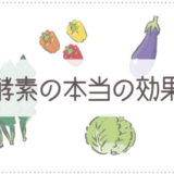 酵素ドリンクの酵素は死んでるから意味がないのか調べた