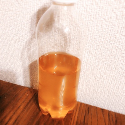 2日目の夜ご飯