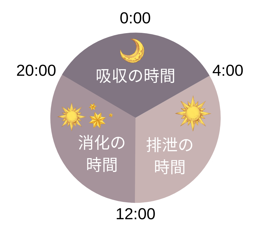 消化にかかる時間