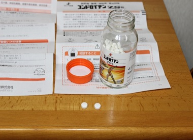 コンドロイチンZS錠を飲み続けて10年！膝痛に本当に効果があったのか？