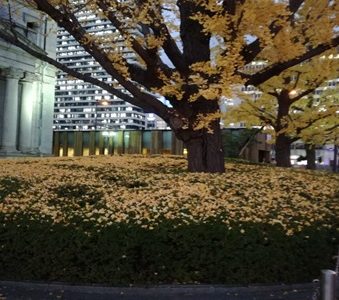 2018年11月生涯現役ひでちちブログ～役員運転手も繁忙期～